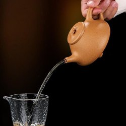 Golden-Duanni Shipiao (Ziye) Yixing Teapot | Radiant & Geometric | DXY ZISHA