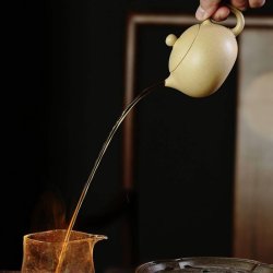 Lvni Xishi Yixing Teapot | Refined & Creamy | DXY ZISHA