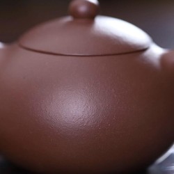 Zini (Purple Clay) Xishi Teapot | Breathable & Smooth - DXY ZISHA
