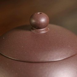 Dicaoqing Xishi Yixing Teapot | Aged & Silky-soft | DXY ZISHA