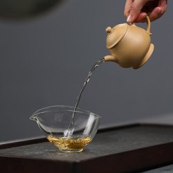 Duanni Panhu Yixing Teapot | Grounded & Firm | DXY ZISHA