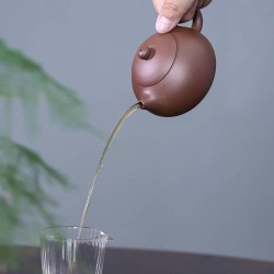 Zini (Purple Clay) Xishi Teapot | Breathable & Smooth - DXY ZISHA