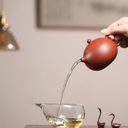 Jiangpo Xishi Yixing Teapot | Vibrant & Balanced | DXY ZISHA